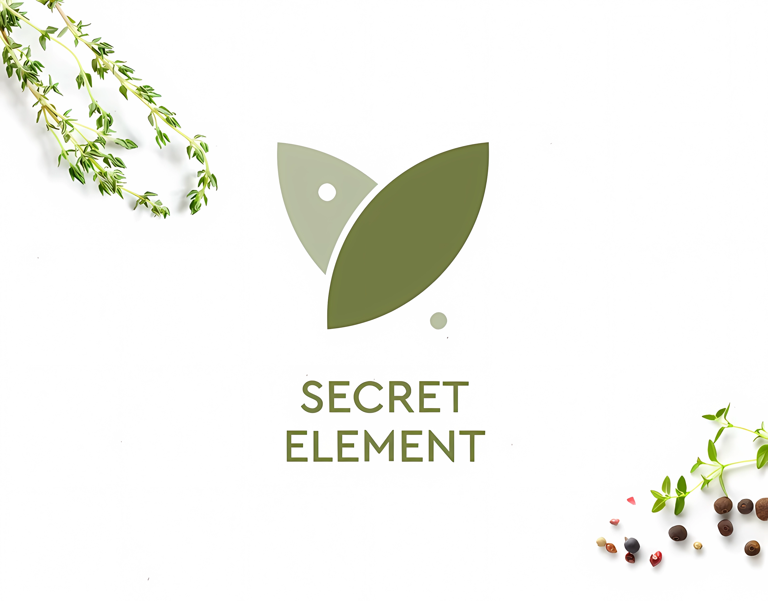 MoldavianHeart Featured Projects | Secret Element